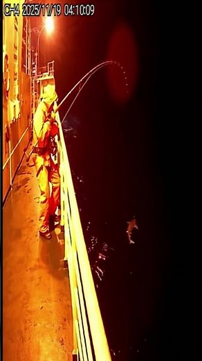 Fisherman Hooks a SHARK from the Shadow Depths of the Ocean! 😱