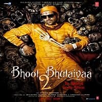 Bhool Bhulaiyaa 2 2022 Hindi Full Movie Watch Online Free | Movies123.pk