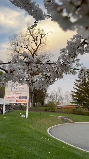 Spring has sprung at First Hebrew! The flowers are blooming, the Israeli flag is waving proudly, and we’re getting ready for an unforgettable adventure—just in time for Israeli Independence Day and the start of spring celebrations! Join us as we take off on a (pretend) trip to Israel—no passport needed: 🧳 Make your own luggage 🕍 Place a note in the Kotel 🛍 Shop the shuk 🍪 Enjoy a birthday treat for Israel! Sunday, May 4 | 10:30 AM–12:00 PM Ages 2–6 | First Hebrew Congregation FREE event—RSVP