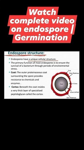 Endospore Formation in Bacteria , Bacterial Endosopre Structure https://youtu.be/DG0dneKJaoM