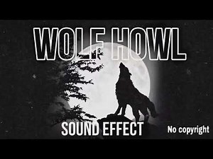 Wolf howl sound effect
