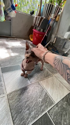 Loc Minh Ton on Reels