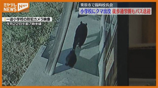 小学校の防犯カメラにクマ… スクールバス利用拡大など安全対策へ 宮城・栗原市
