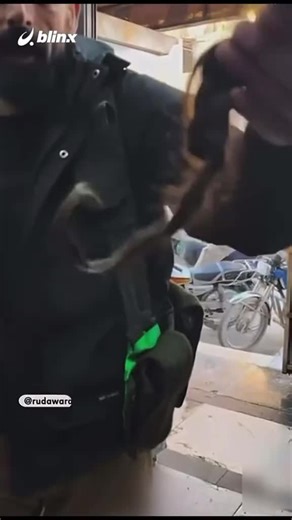 Botan Gerîla'nın Dünyası