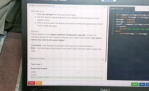 Pragram uting identily OperatorYour task is toTake two string... | Filo