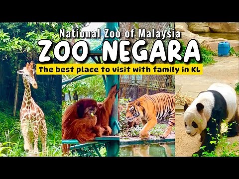 Zoo Negara Kuala Lumpur | Best Things to do in Kuala Lumpur Malaysia