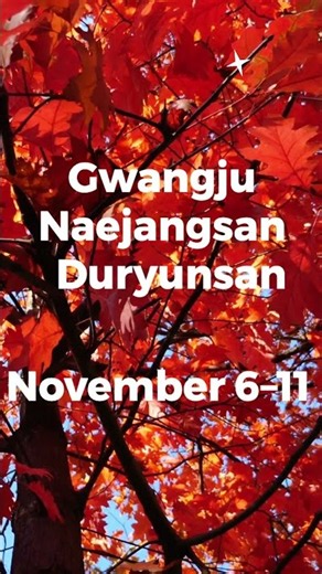 When Does Autumn Peak in Korea? — 2026 Fall Foliage Guide #korea #travel #shorts