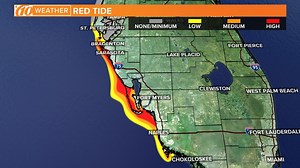 FWC releases new red tide map: Medium concentration reported in Madeira Beach