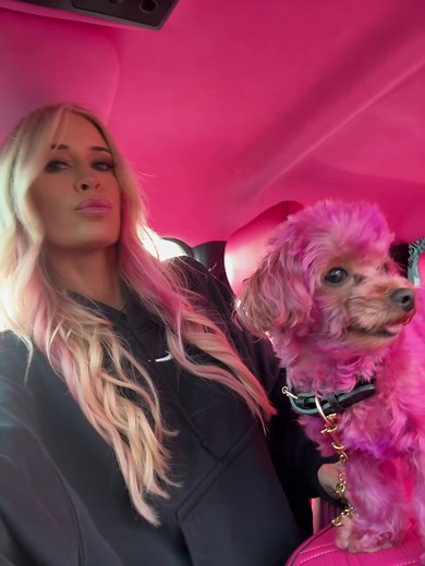 AshleyK Hawaii (@ashleyk_hawaii)’s videos with original sound - Heather