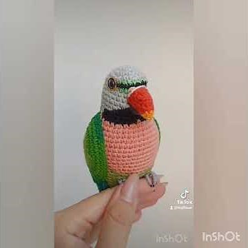 Mustache Parakeet or Red breasted Parakeet Stuffed parrot Crochet technic with flexible paws