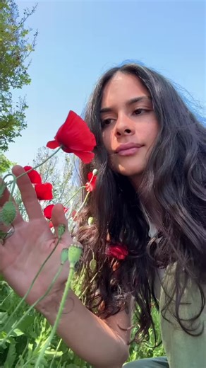 How do you know what to plant in your garden? 💭 My 2 favorite methods/approaches: What are yours? (1) Ask them 🐞🐛🪲🪺🐝🐜 The creatures who signal a plants benefits/need/contribution. Where are the bugs & critters hanging about? This is a great place to start. When many people think of pollinators, they think of honeybees. I mean they are everywhere. But, because native bees have been pushed out by them - we should also try and observe plants/create settings that draw in native bees. Pollinat