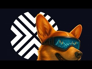 🔥 Alex DEX Explained – The Future of DeFi on Stacks (STX)!How to make money with crypto$