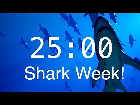 25 Minute Countdown Timer with Alarm | Relaxing Music | Shark Timer