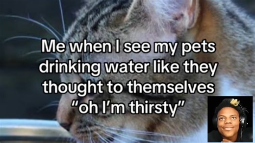 IShowSpeed "Aww So Cute" | Know Your Meme