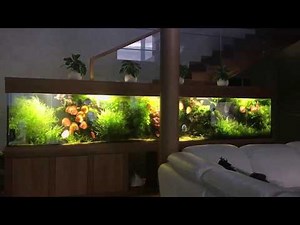 Another planted MEGA Discus Tank (4,2 m long, 1700 Liters)Aquaproject