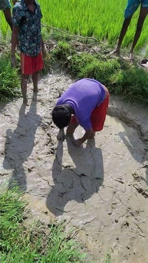 the sluice gate is being opened #shorts #viral #trending