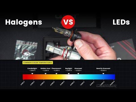 Halogens VS LEDs, which one is better?