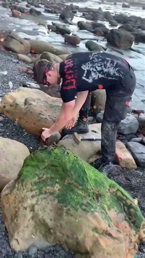 Here’s an outstanding example of a Nautilus fossil specimen that was found by a friend