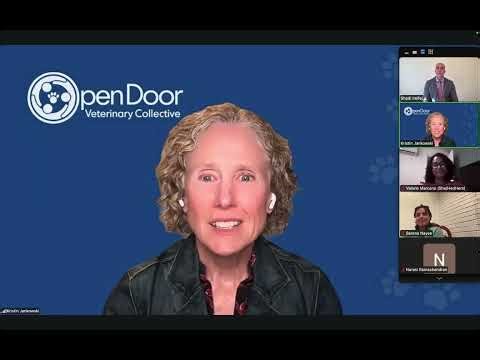 Open Door Veterinary Collective | Drs Valerie Mercano, Shadi Ireifej and Serena Nayee