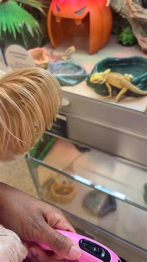 80K views · 2.1K reactions | I let my dog tell me what to do for 24 hours  #reelschallenge | imofficialm | Facebook