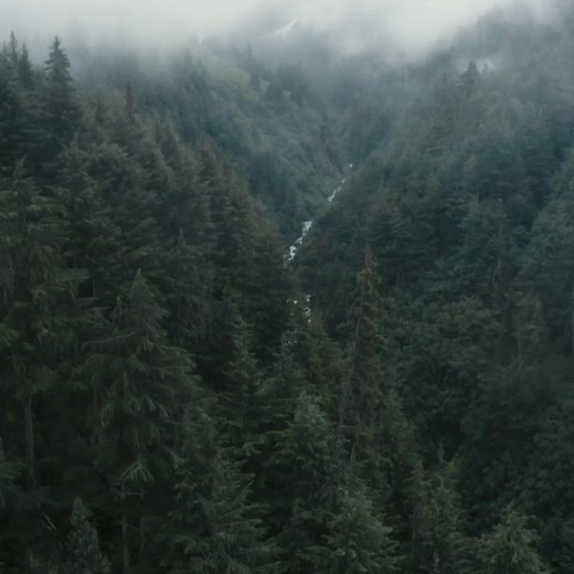 Is Kayla leading her crew to a huge pay day or certain disaster? Go all in on the hunt for gold tonight with Gold Rush: White Water after #GoldRush on Discovery. | Gold Rush