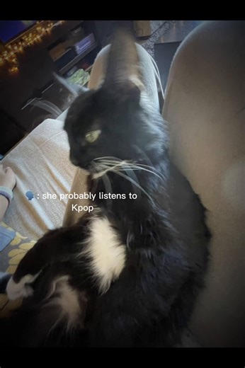 Wait how did you know lol.....