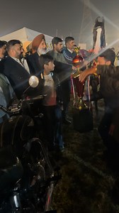 Colt himalya got 1st position in two teeth category Indian horse championship moga 2025 | Bhullarhorsephotography