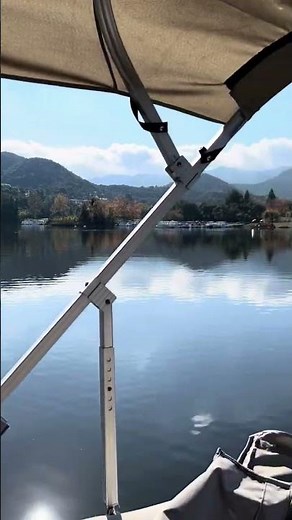 Majestic Wild Canadian Geese | Dr. Robert Cassar