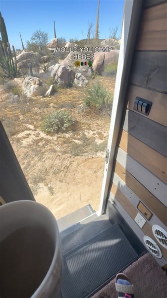 Good Morning🌵from our sea of cacti 🌵 We actually skipped this part of Baja the first 2 times we traveled through and I wish we hadn’t because it was gorgeous. Did you know that Baja isn’t just the magical beaches everyone posts? 🏝️ Much of Baja is also deserts filled with Cardon cactus (Elephant cactus), Cirio (Boojum trees), and Datilillo (Yucca). Most of the time I question if we’re actually driving through a Dr. Seuss book. 🌵 We happened to be camping during a spring super bloom 🌸🌺🌼 As