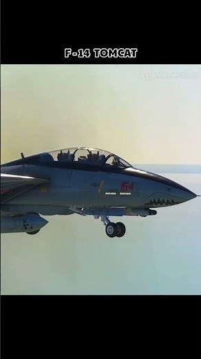 The Legendary F-14 Tomcat