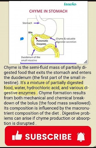 chyme structure and function dictionary