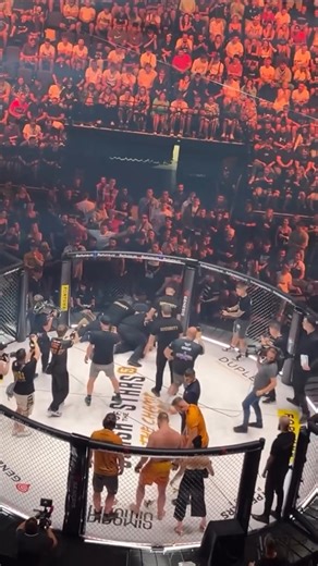 Highlights of the thrilling climactic match are in the video below #shorts #MMA #UFC #Bellator #OneChampionship #FightNight #FightCamp #MMAFighter #CageFigh #SubmissionGrapple #KnockoutArtist #boxing #mayweather #canelo #reels #boxinghype #boxing👊 #boxingtraining #boxingday #boxinggym #boxingworkout #boxinggloves #boxingnews | Pawsitively Yours