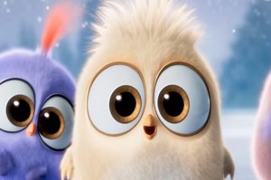 Watch Angry Birds Hatchlings Christmas Greeting