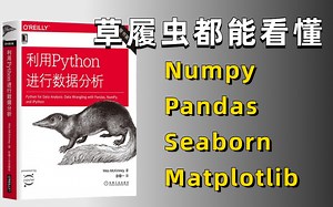 全网最全【人工智能Python数据分析】教程，Numpy/Pandas/Matplotlib/Seaborn一口气学完！比刷剧还爽！！人工智能基础/人工智能课程
