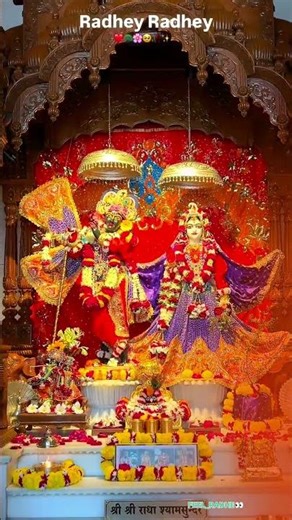 🩵 तुम कृपाल सरकार हमारी किशोरी राधे 💗🌸 RADHA RANI STATUS 👀 #krishna #love #radha #aarti #youtube