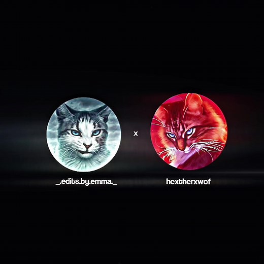 Warrior Cats Ivypool and Hawkfrost Collab Edit