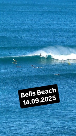 Scozza on Instagram: "Classic day out at Bells with some legit longboarders out . . Surf coast surf report Torquay Anglesea Fairhaven Victoria Australia surfing winkipop bells"