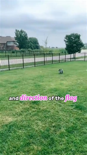 9.4K views · 20 reactions | The wait is over, our Black Friday sale...