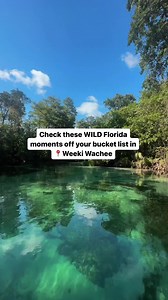 10K views · 129 reactions | Weeki Wachee is a clearly unique 120 minute experience in a 100% clear kayak with incredible views and the best chance wildlife encounters  | Get Up And Go Kayaking | Facebook