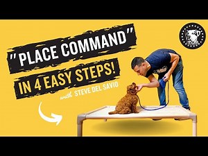Place Command In 4 Easy Steps