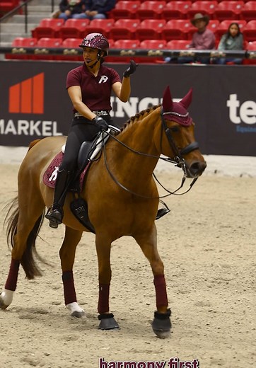 Mastering Dressage Techniques at Along For The Ride