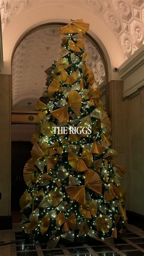 Christmas and holiday light displays in Washington, DC ✨ #christmas #shorts #travel #winter