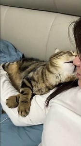 Close Every Day: A Heartwarming Tiger Cub Adventure TigerLove FamilyBonding