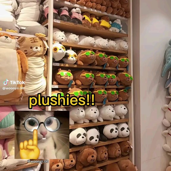 Cute Cat Videos and Plushies Memes on TikTok