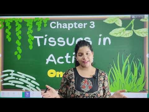 Class 9 Science | Chapter 3 | Tissues in Action | Exploration New NCERT Book | CBSE | Easy Explain