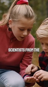 24K views · 922 reactions | Growing up without nature comes at a cost. A major study found that low exposure to green space in childhood strongly correlates with depression, anxiety, and poor mental health in adulthood—even when adjusted for other factors. Our brains evolved in the wild, not in concrete. The problem isn’t just a lack of nature… it’s what we replaced it with. | The Randall Carlson | Facebook