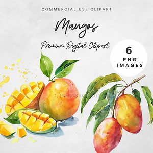 Mango Clipart Watercolor Mango Fruit PNG Juicy Mango Illustration Business Logo Art Tropical Fruit Clipart - Etsy UK