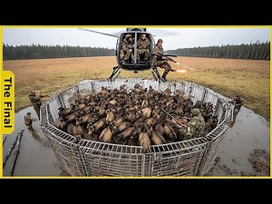 Wild Boar Caught in Swamp Trap – Helicopter Crew Conducts Precision Strike - Wild Boar Hunting