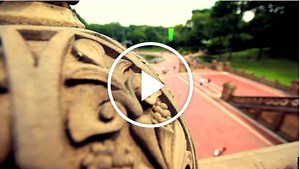 Bluebrain in Central Park