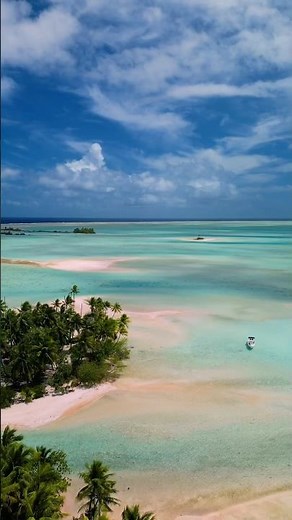 Pink beaches and baby sharks